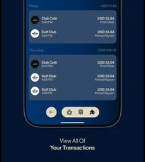 Product interface detail